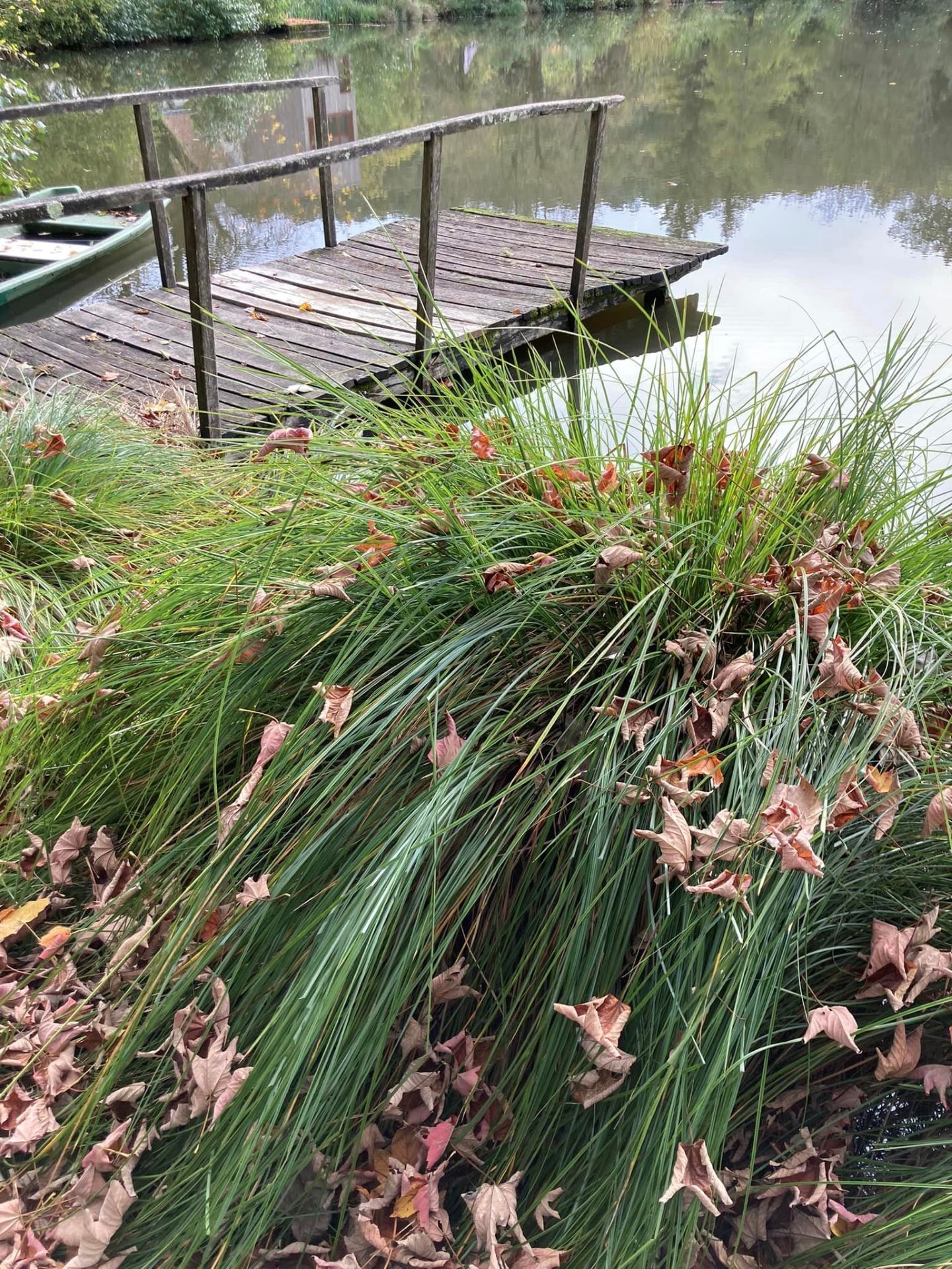 Patricia Petit pont de bois