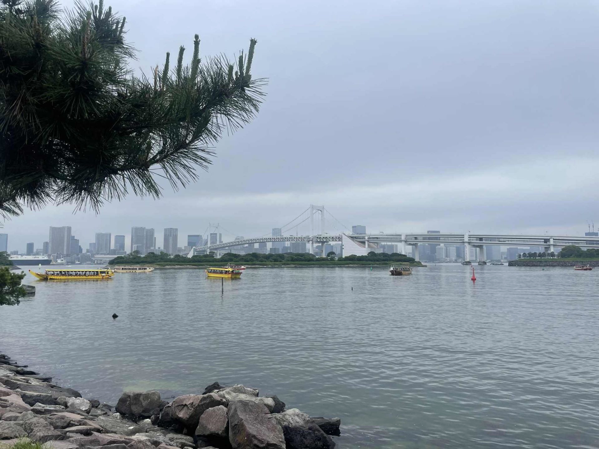 PatriciaTokyo Rainbow Bridge Mai 2025