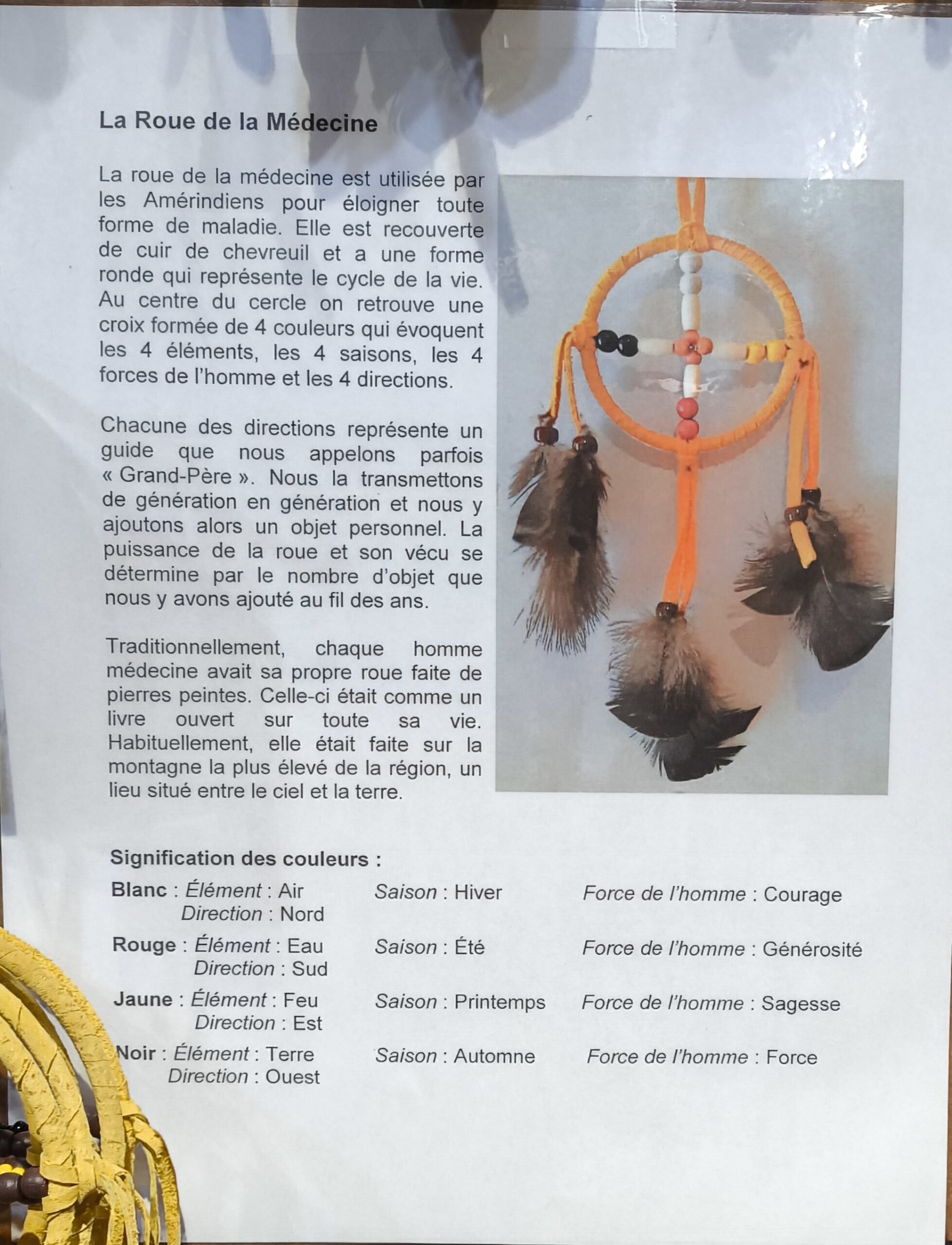 SERGE - LE CYCLE DE LA VIE explications