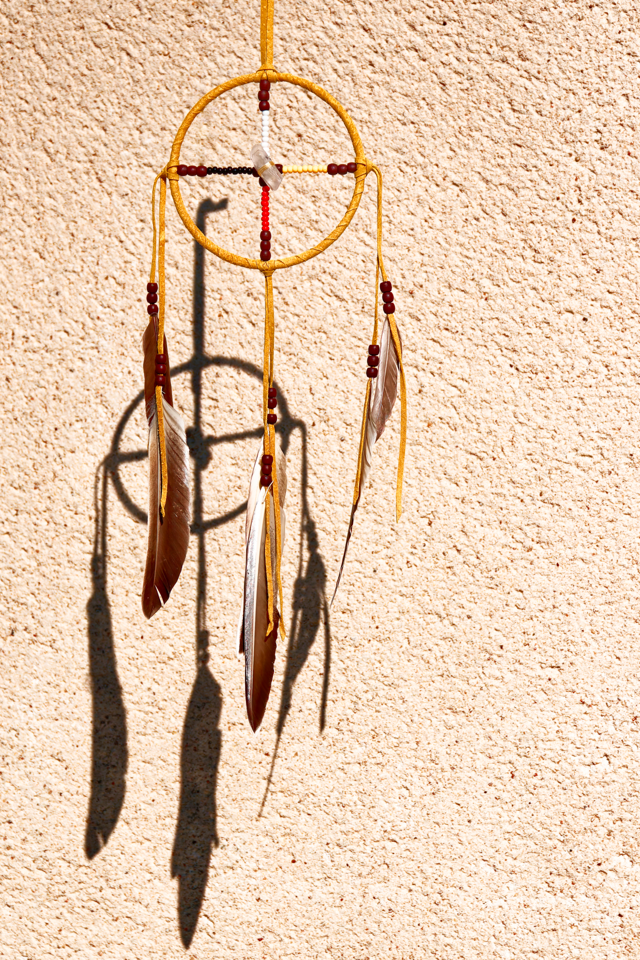 SERGE - LE CYCLE DE LA VIE