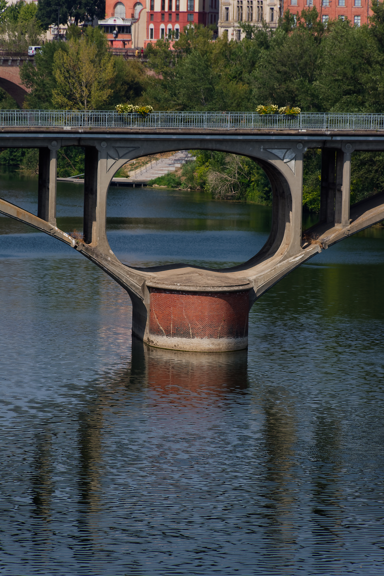 SERGIO - érigée sur le Tarn