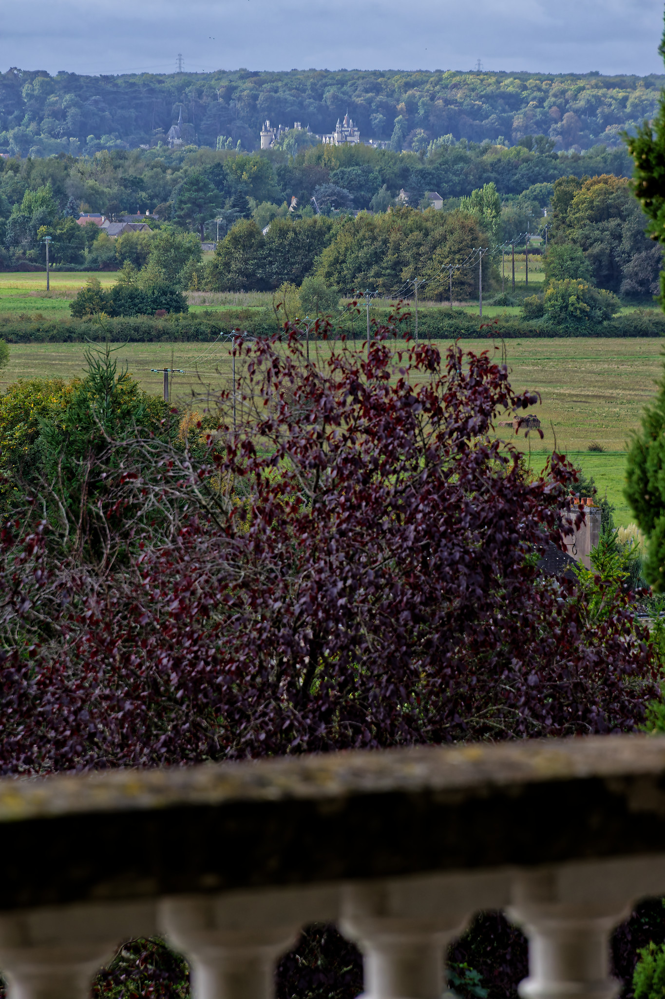 Serge - Chateau de Rochecotte15 regard vers Rigny-Ussé