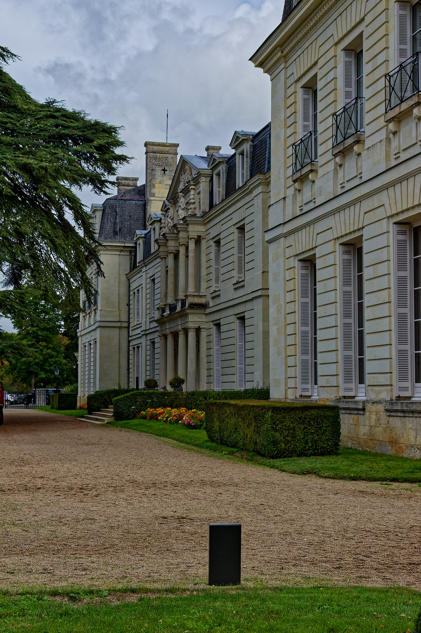 Serge - Chateau de Rochecotte17 cèdre regarde moi