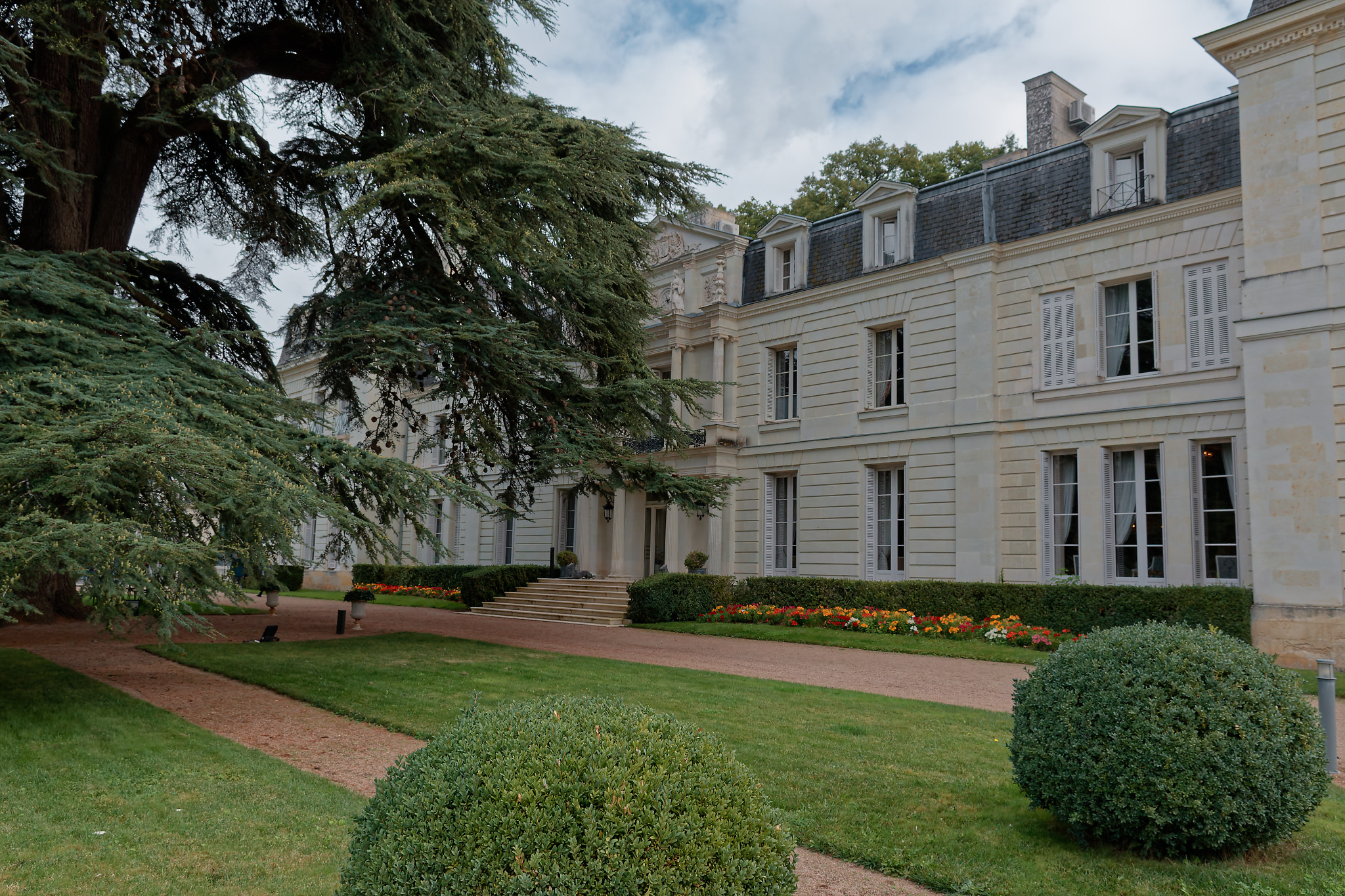 Serge - Chateau de Rochecotte18 cèdre protecteur