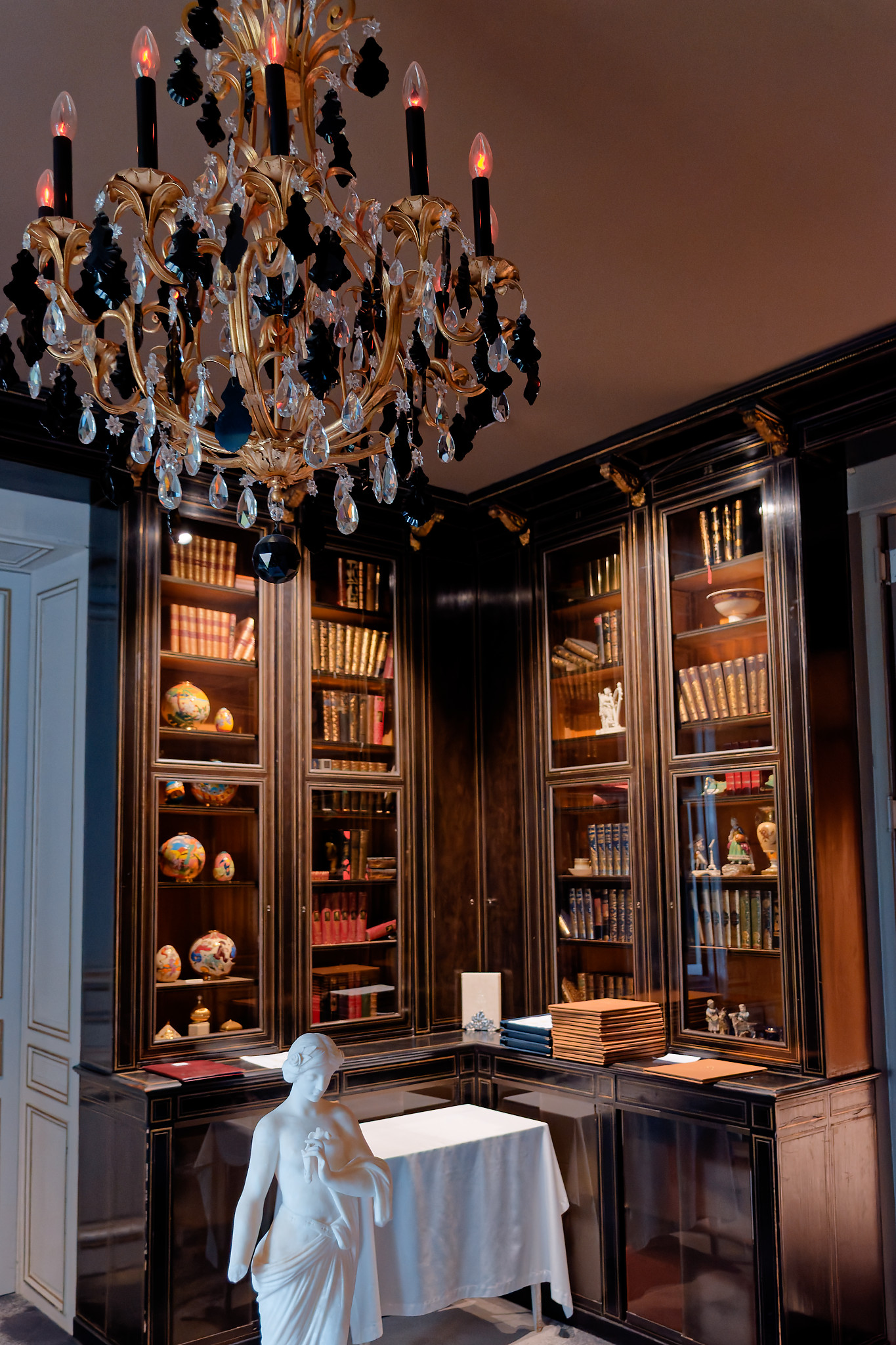 Serge - Chateau de Rochecotte7 bibliothèque