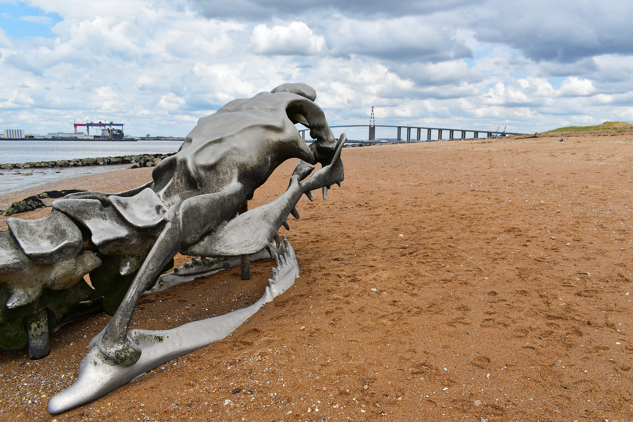Serge - entre_pont_roulant_et_pont_enjambant_la_bete_surveille_l_estuaire_de_de_la_loire_DxO