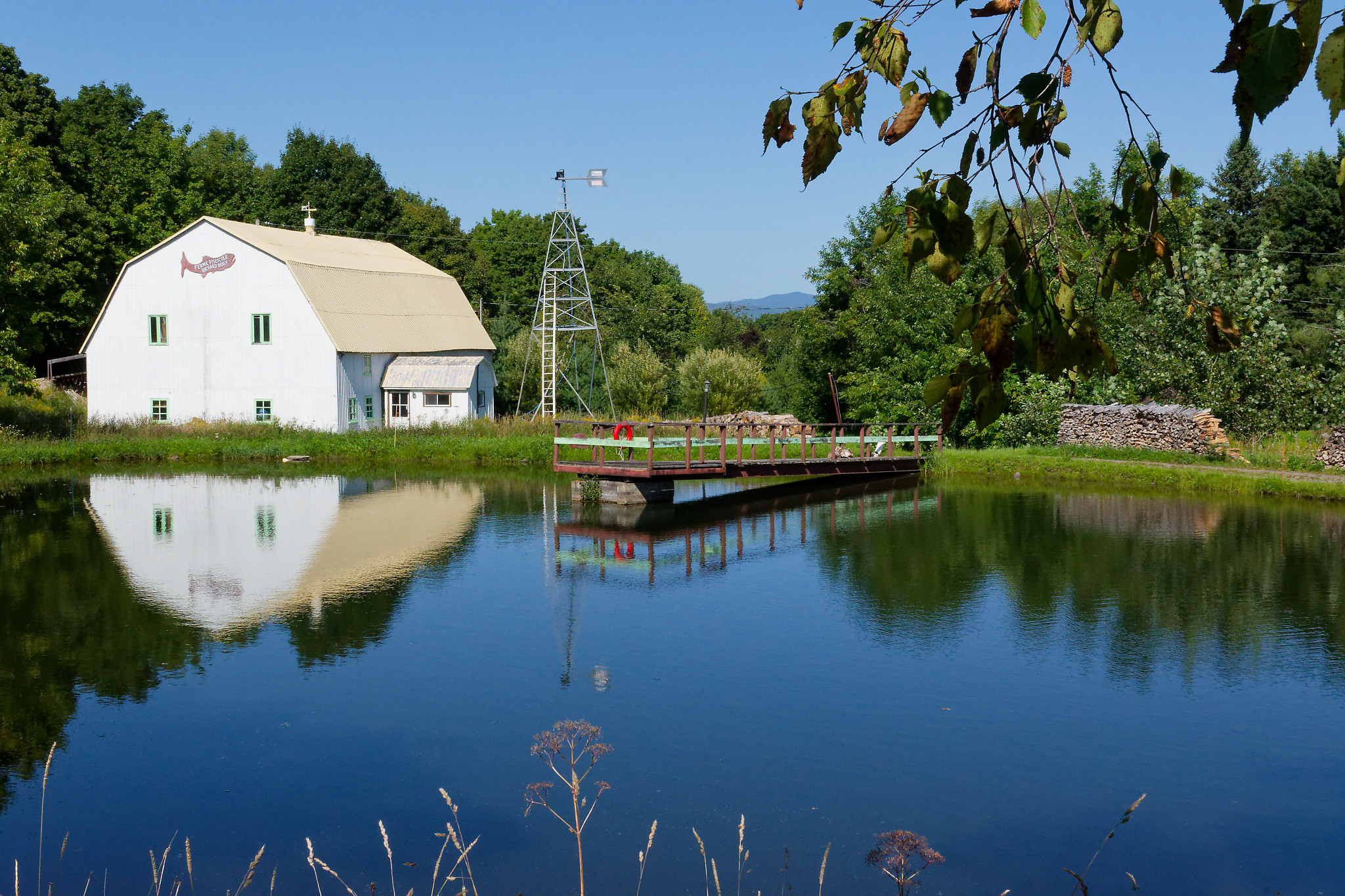 Serge - ferme piscicole canada