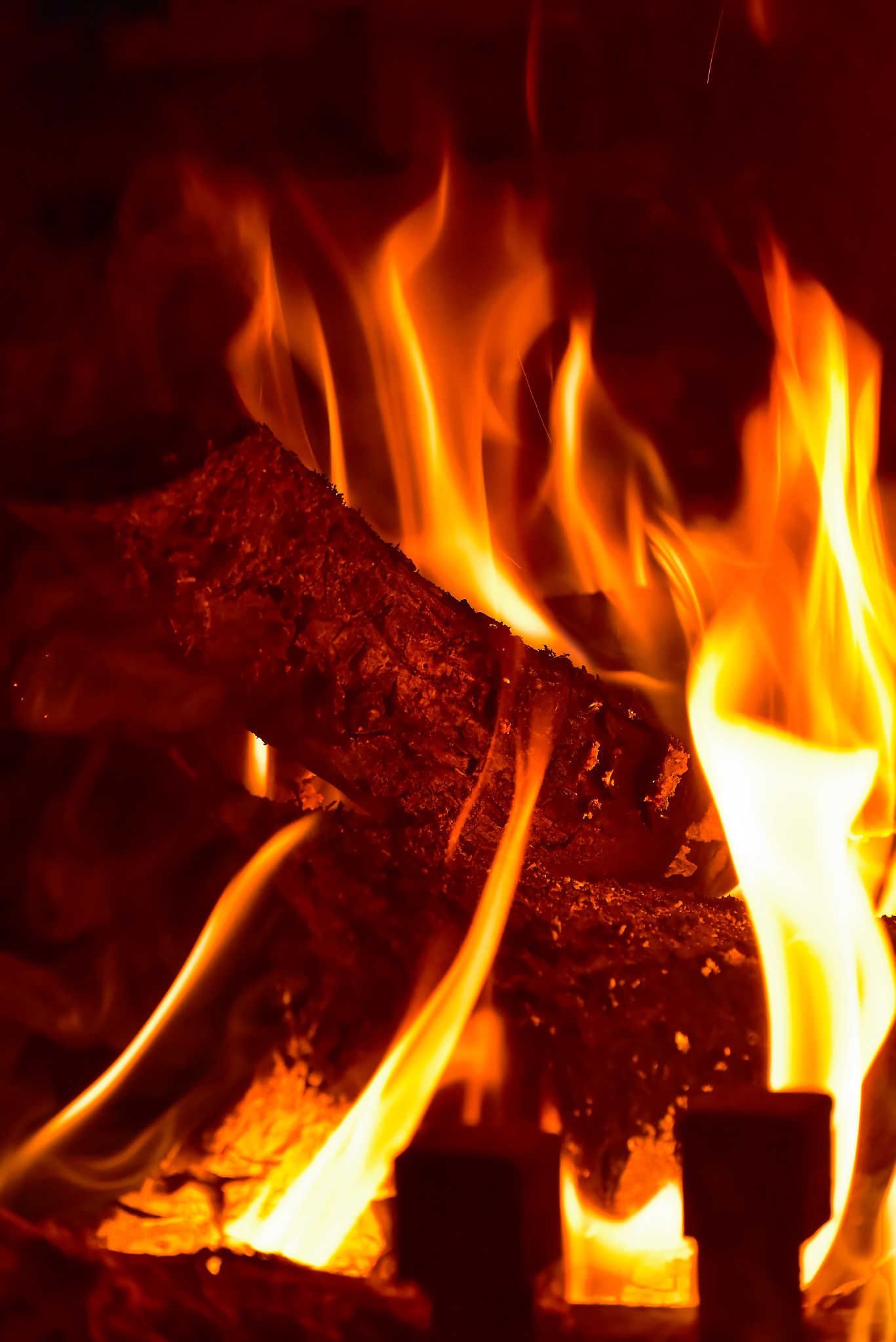 Serge - l_atre_le_feu_est_en_lui