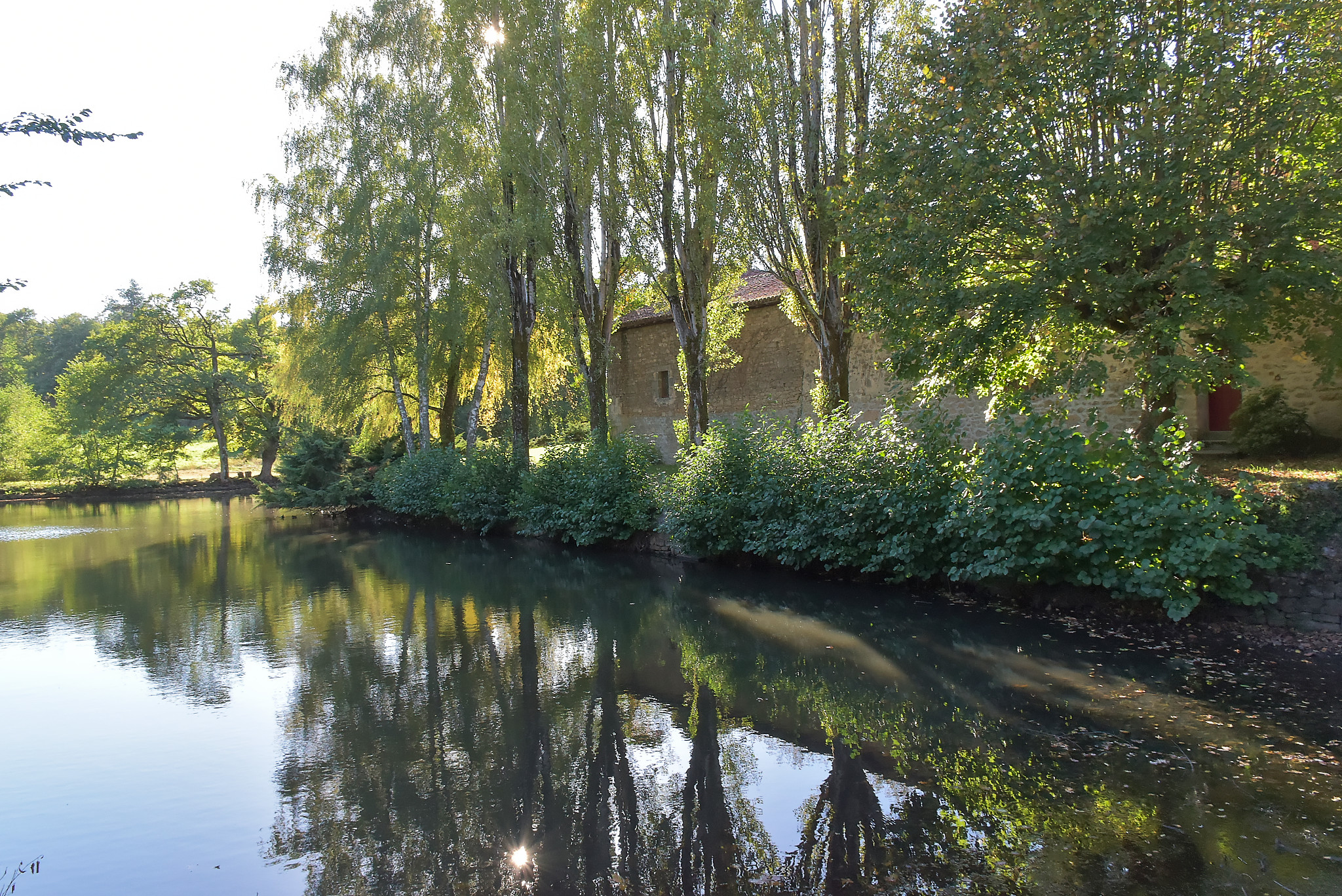 Serge - mirroir_au_mon_mirroir