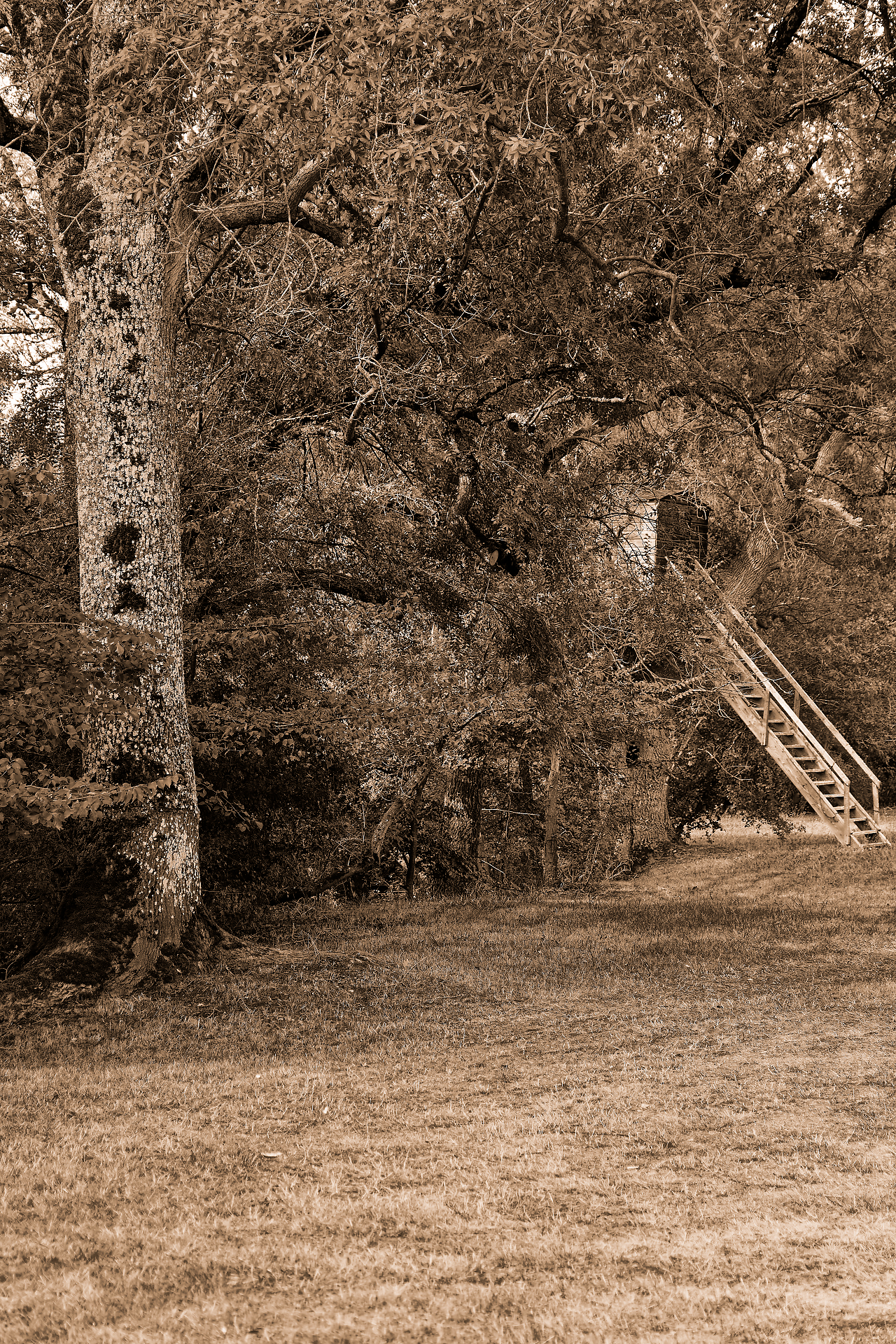 Sergio - Montée vers la tranquillité