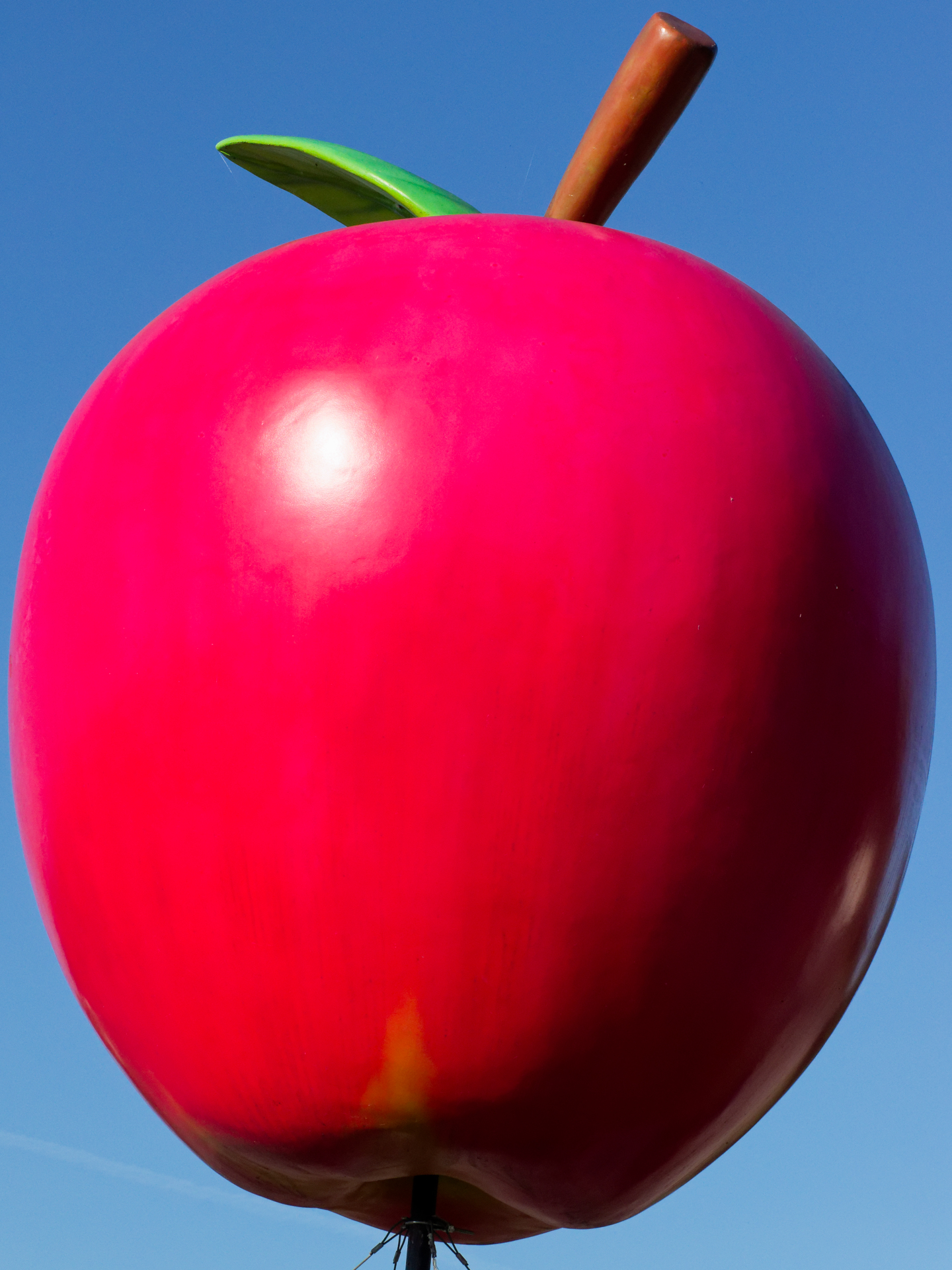 Sergio - Le serment du jus de pomme