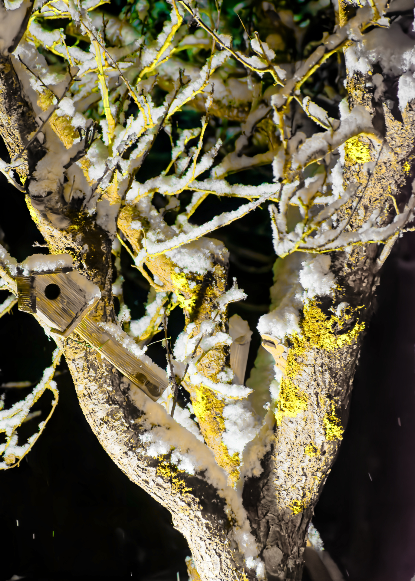 Sergio - accueil pour sans abri