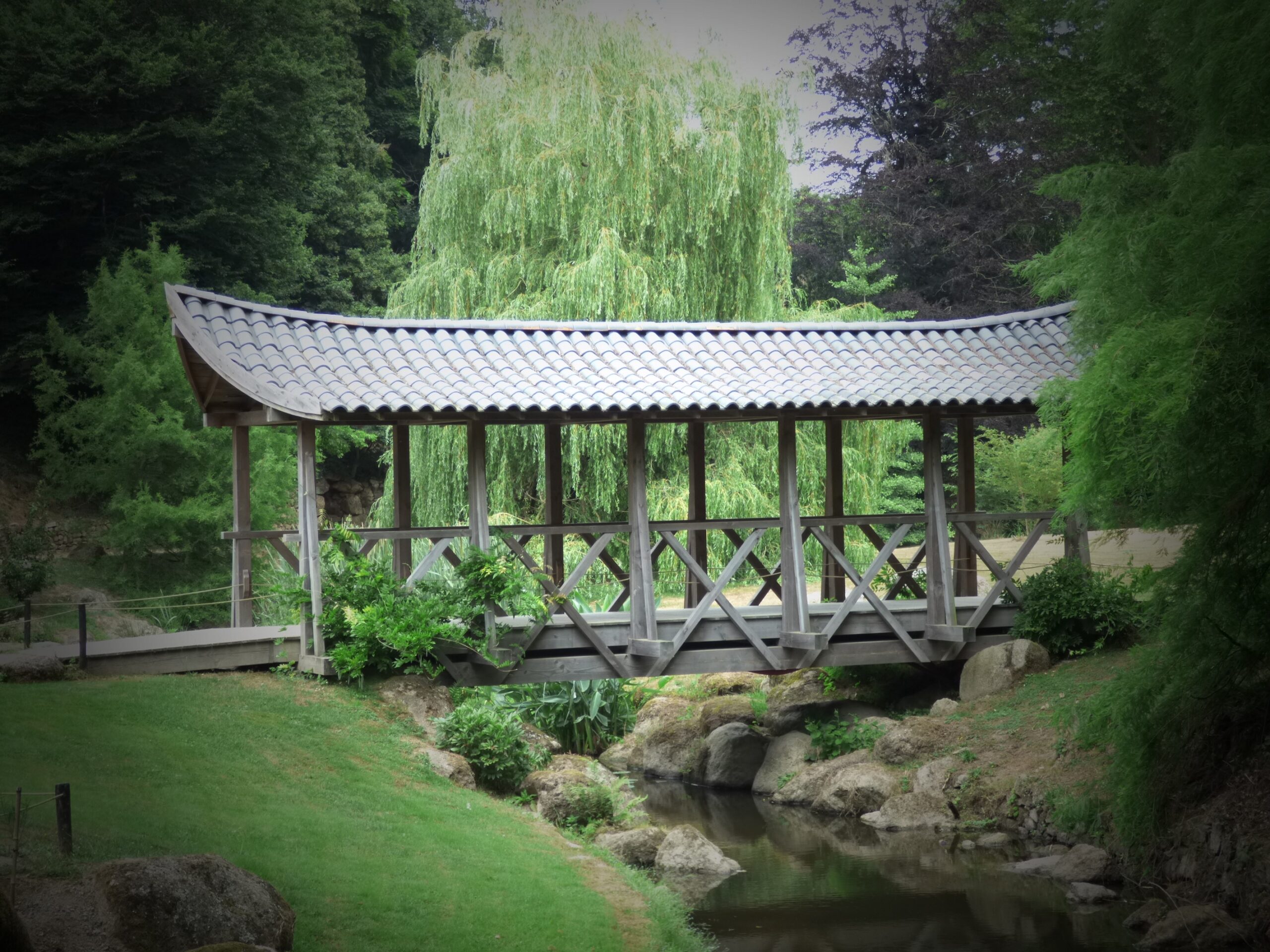 Virginie - Le petit pont de bois