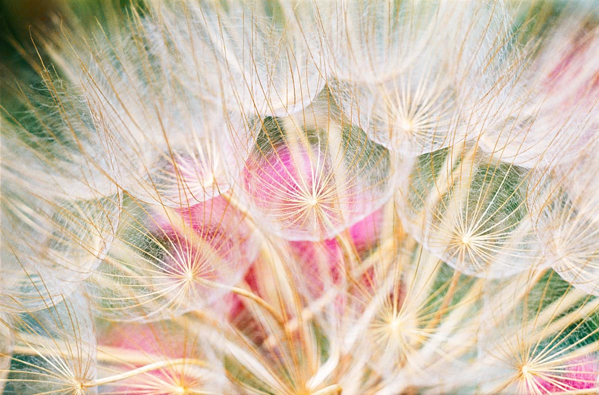 color-creation-7_