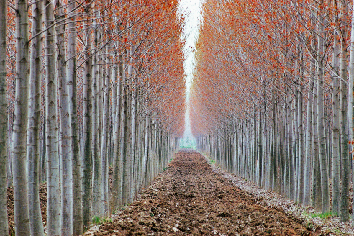 color-europe-9_