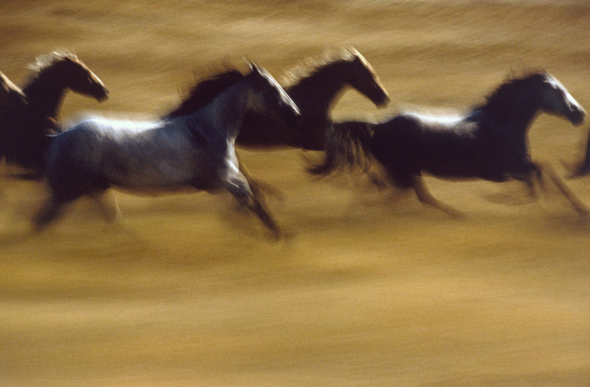 color-motion-32