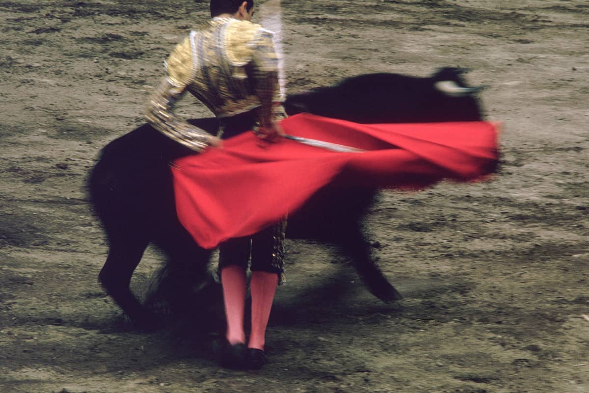 color-motion-bullfight-10