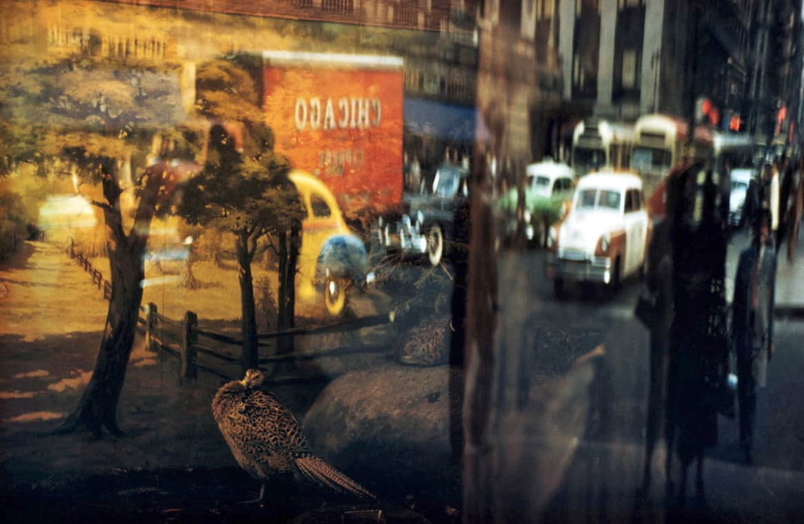 color-newyork-2
