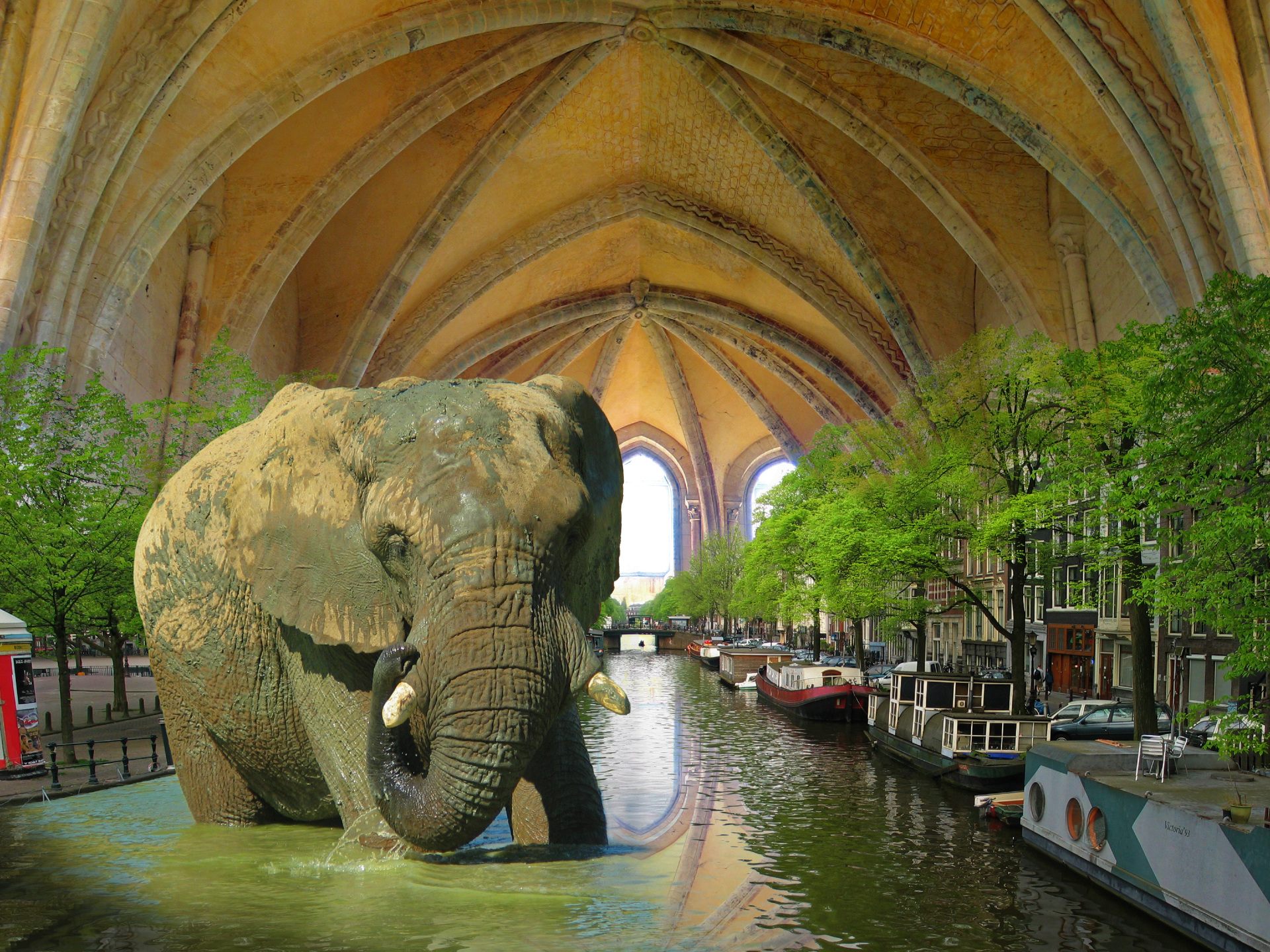 _ éléphant_trompé