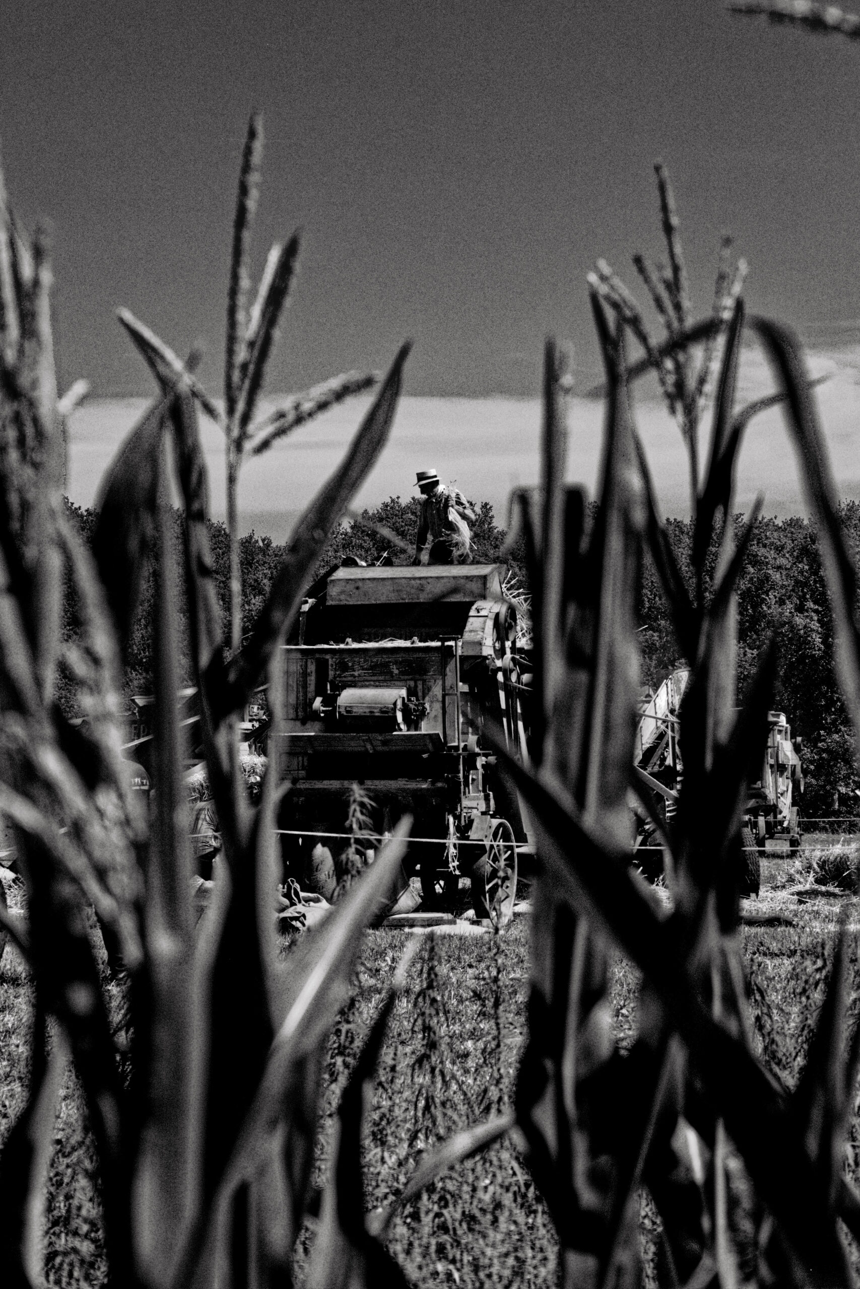 marveen - fête paysanne (4)