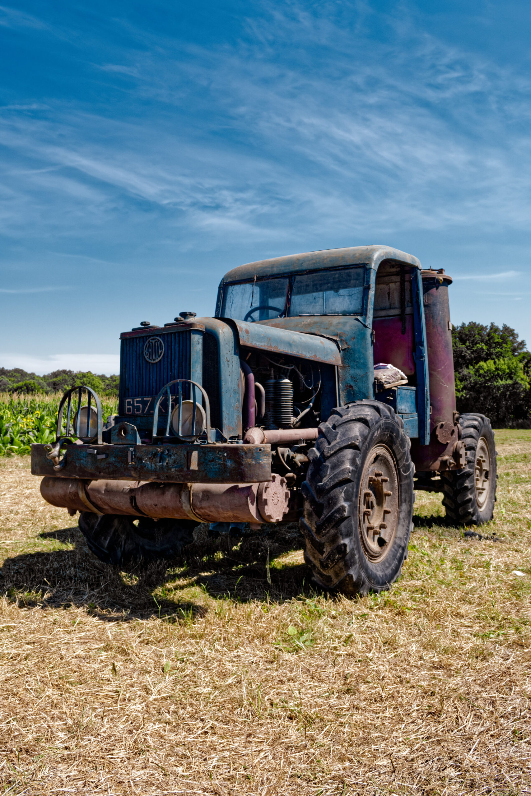 marveen - fête paysanne (5)