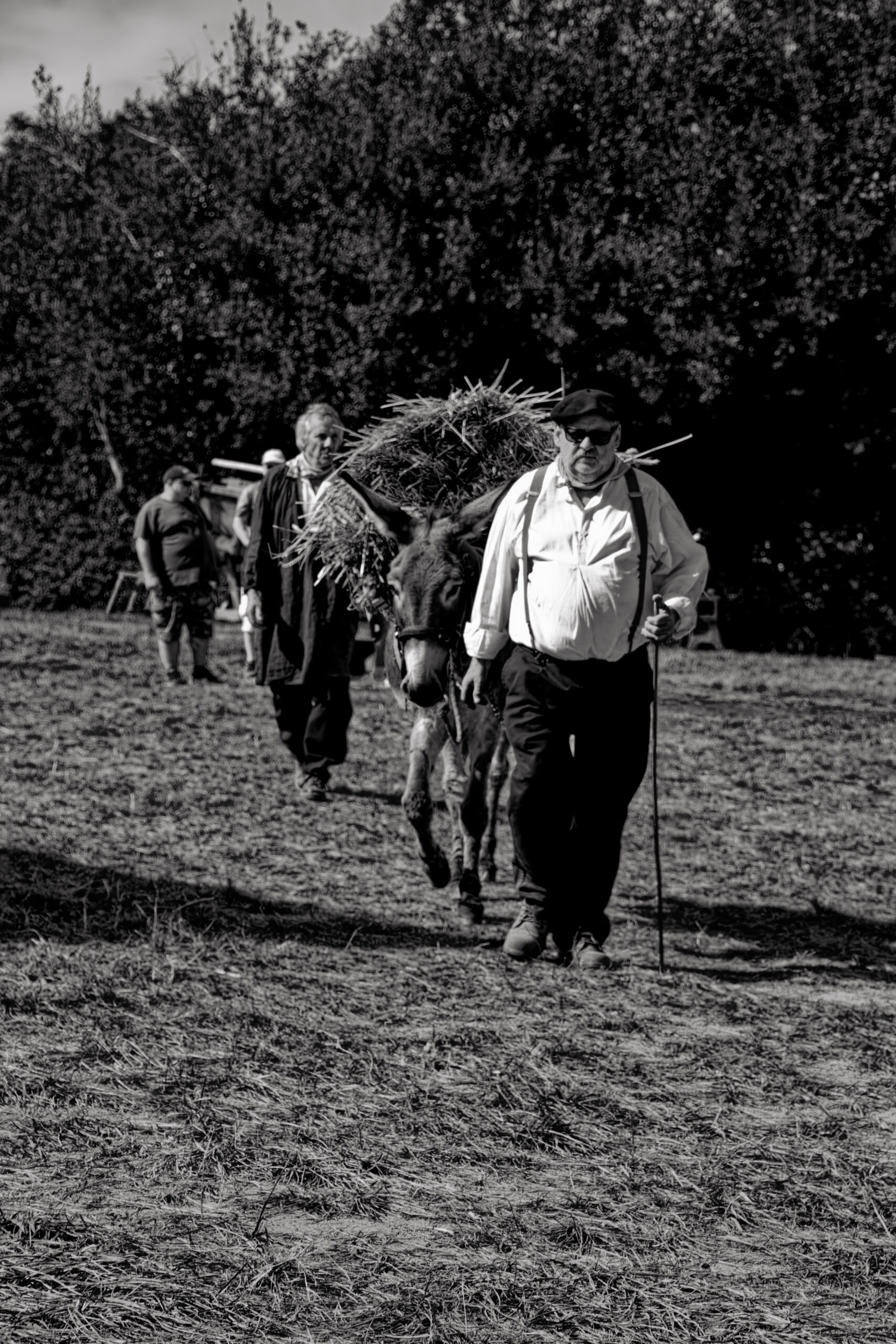 marveen - fête paysanne (6)