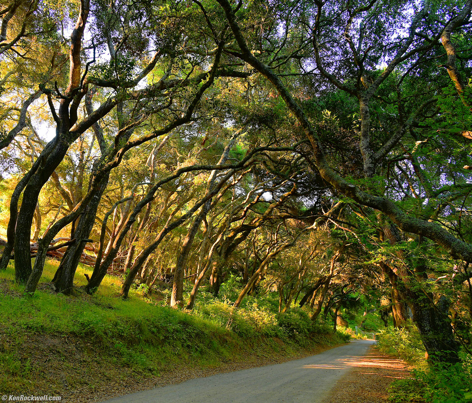 nature (2)