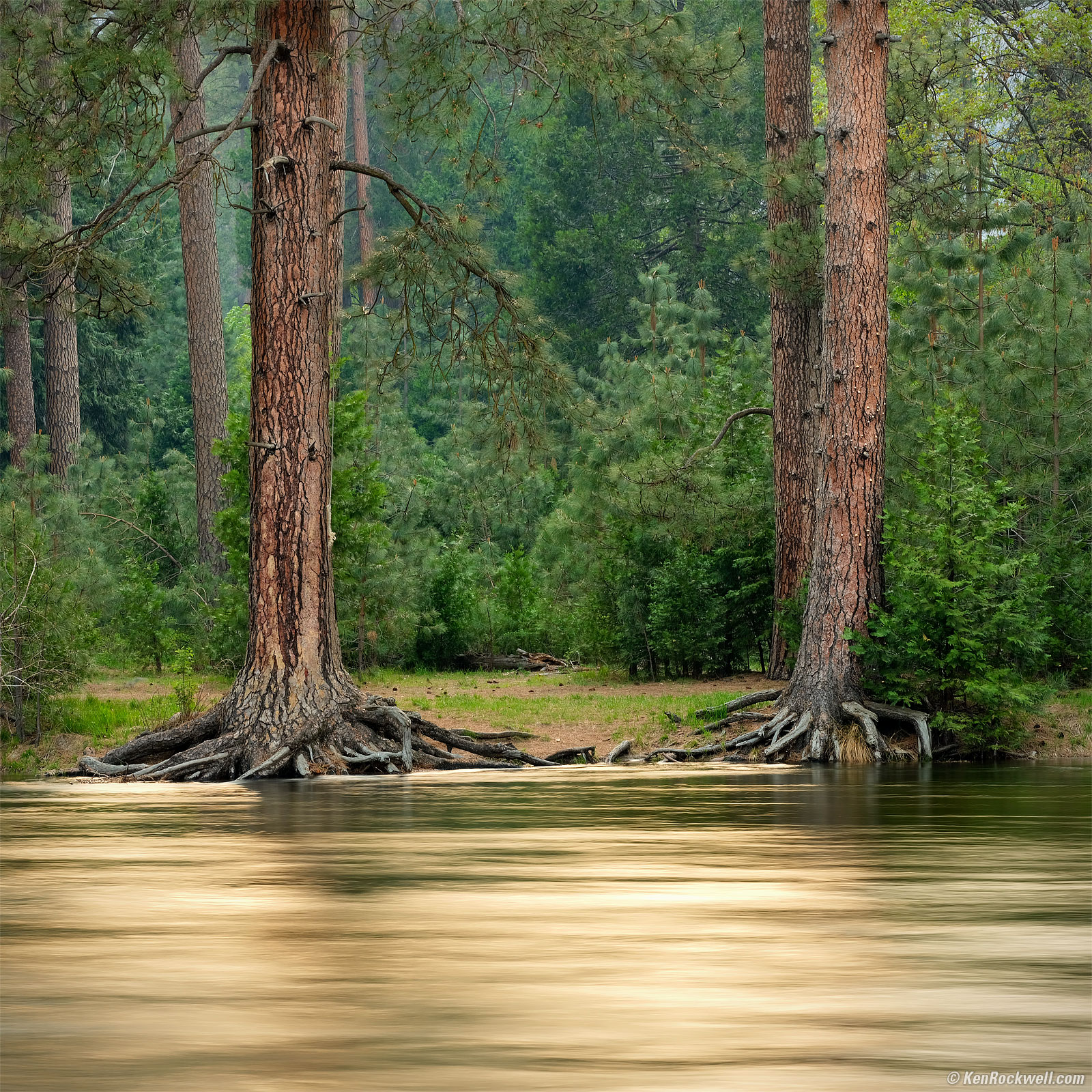 nature (3)