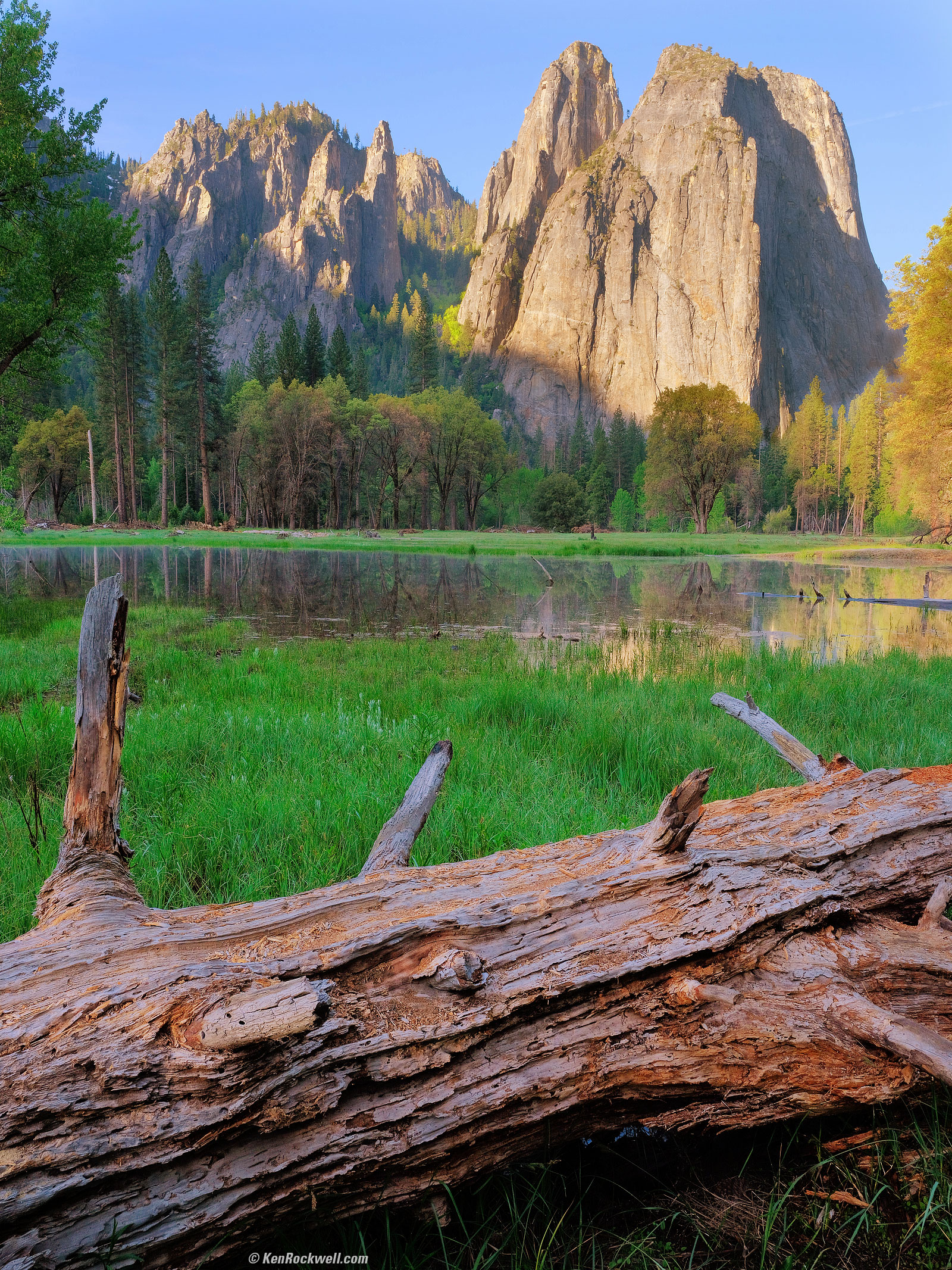 nature (5)