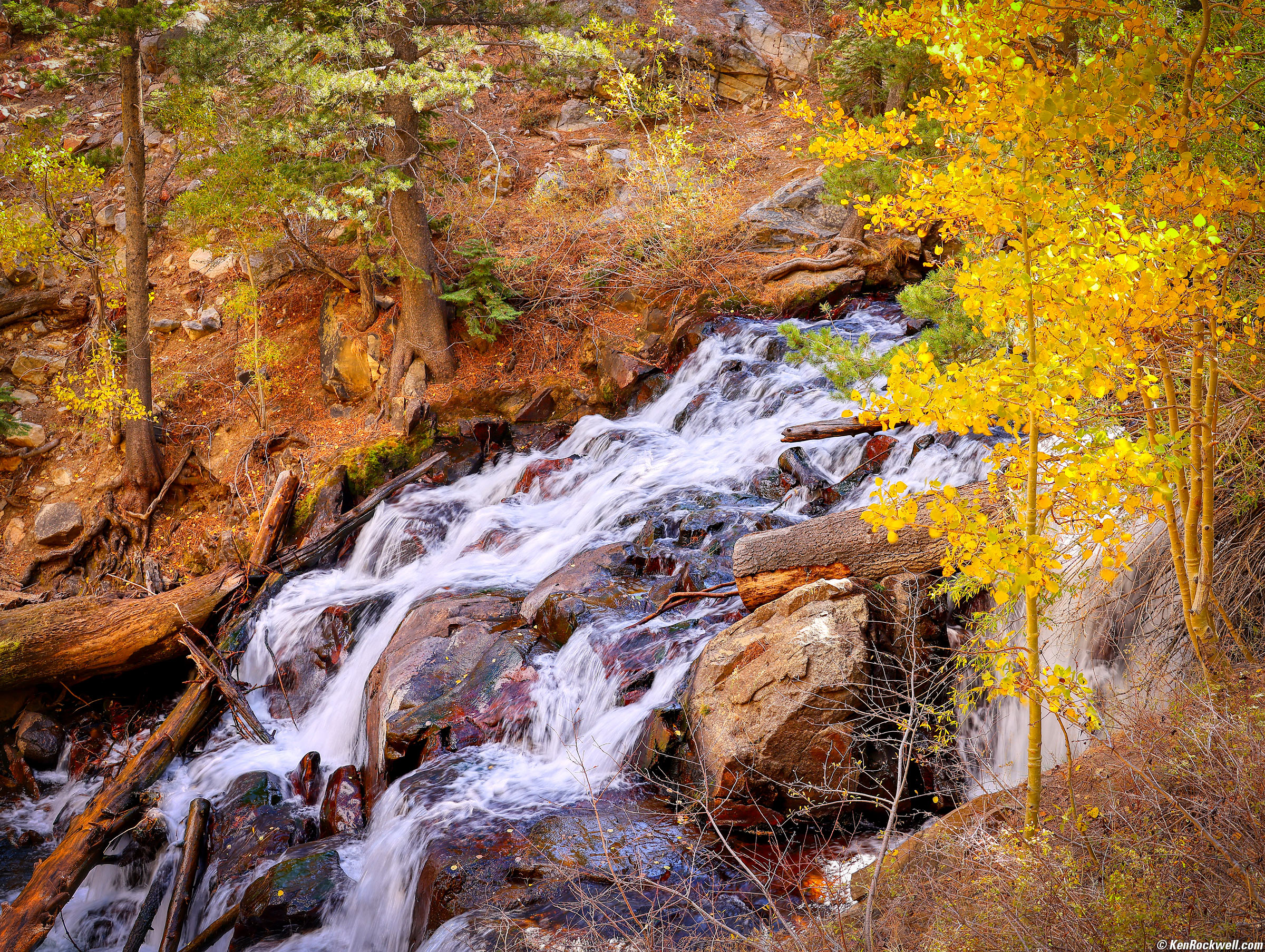nature (54)