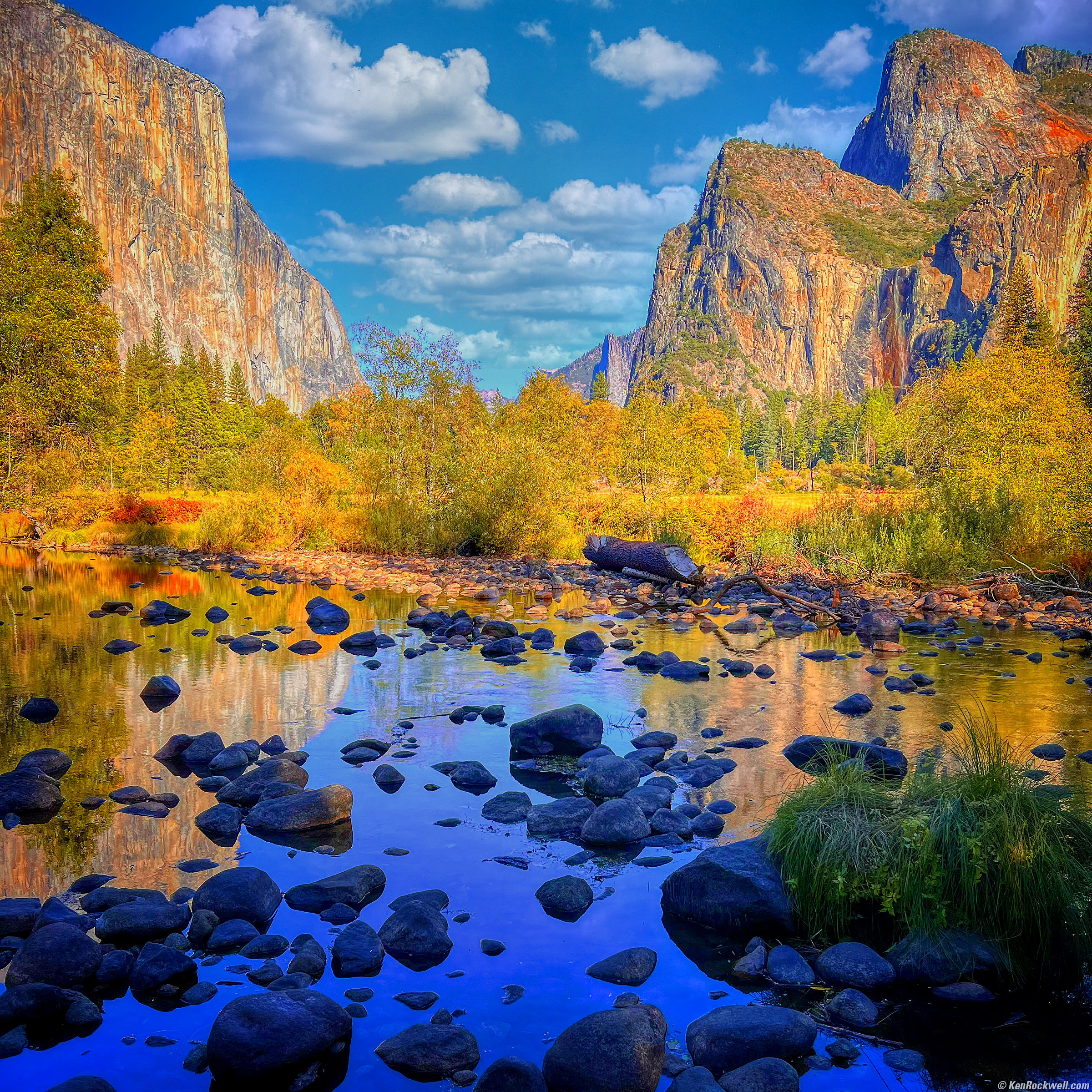 nature (8)