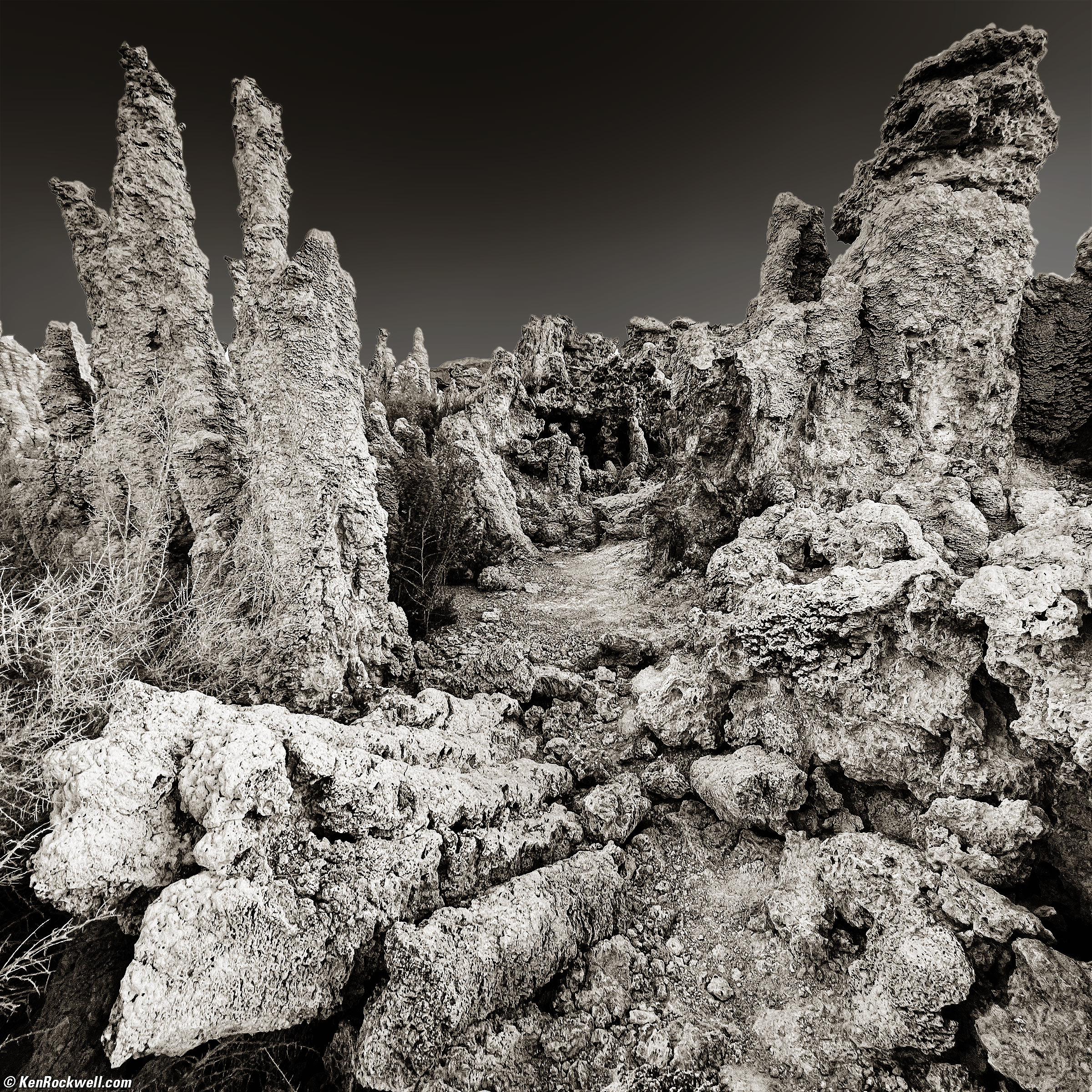noir et blanc (11)
