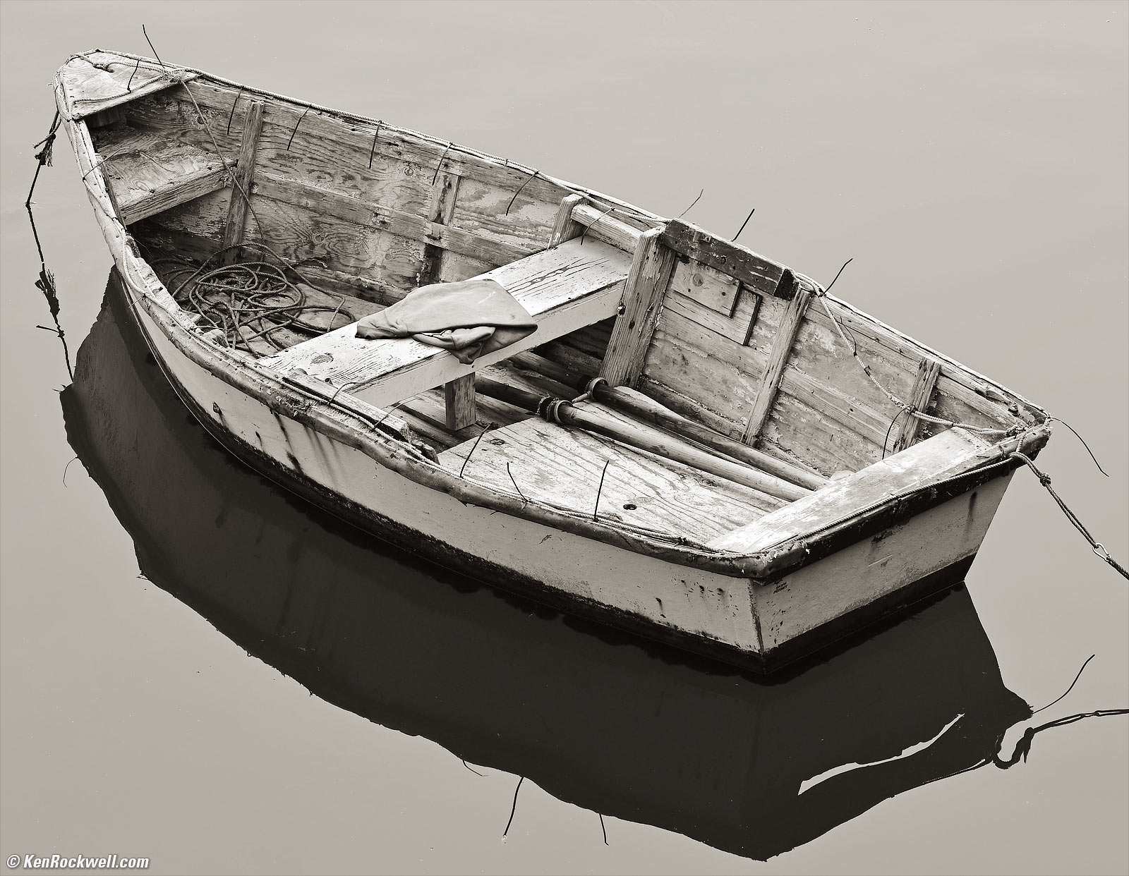 noir et blanc (32)