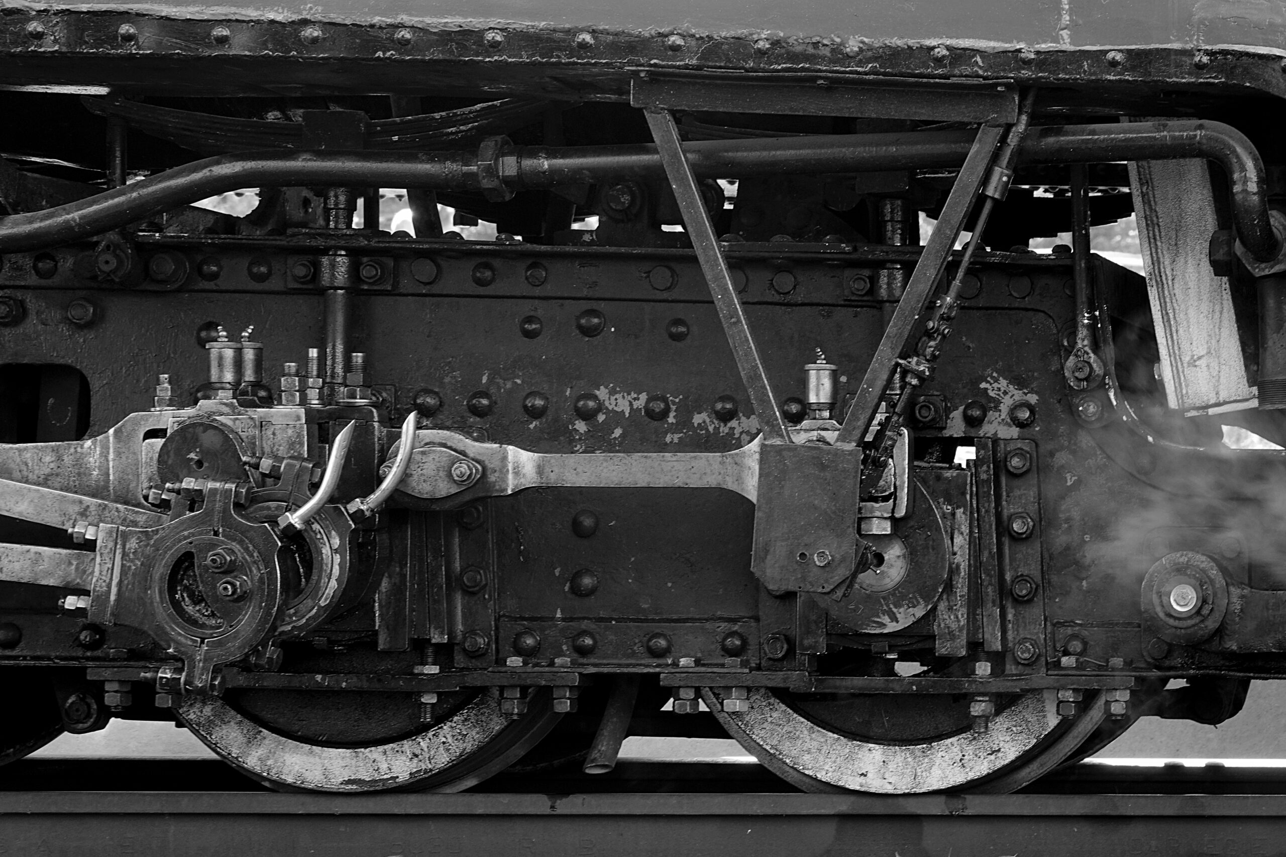 polish train