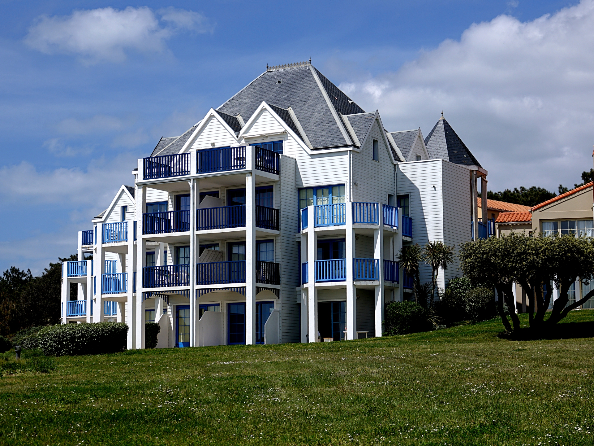 thierry - bleu habitat