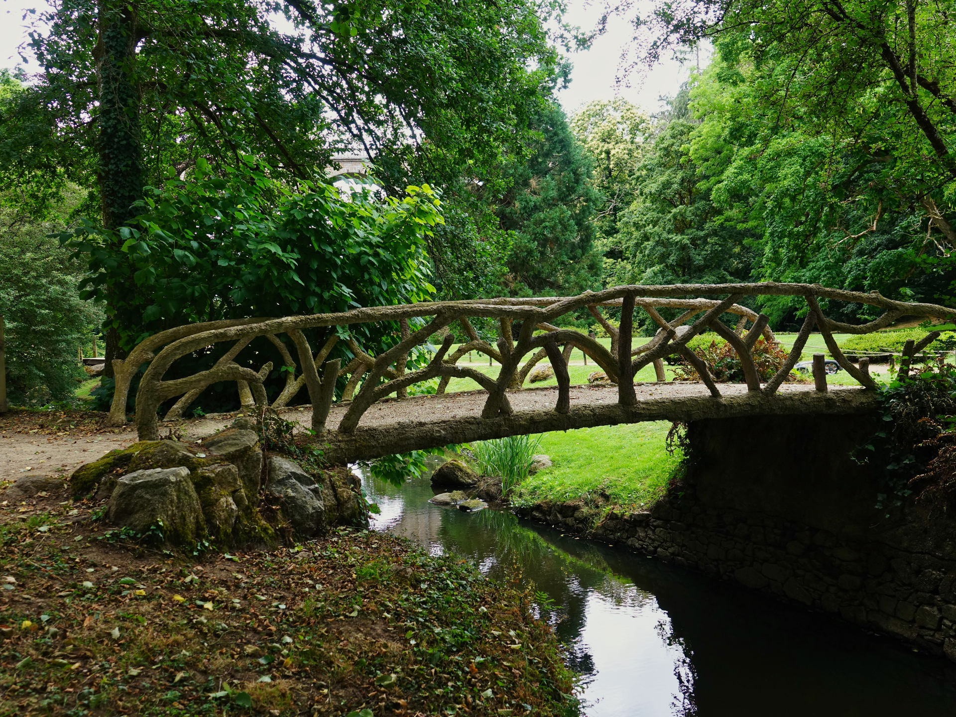 thierry - - pont arboré